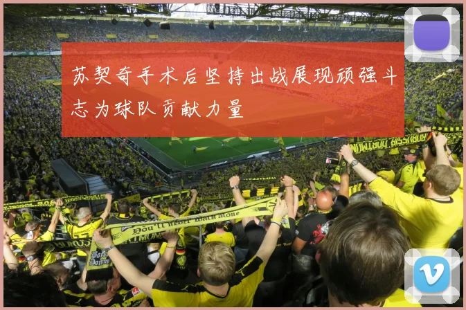 苏契奇手术后坚持出战展现顽强斗志为球队贡献力量